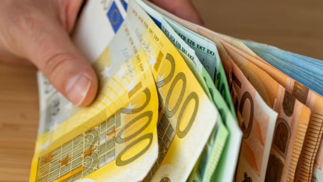 bani euro și lei, anchetă poliție, suspect reținut