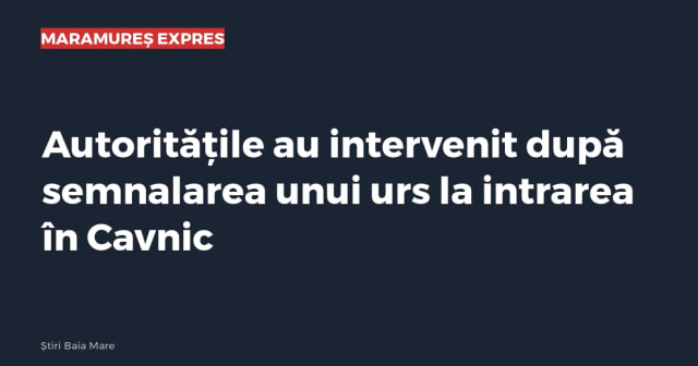 Imagine cu caracter ilustrativ