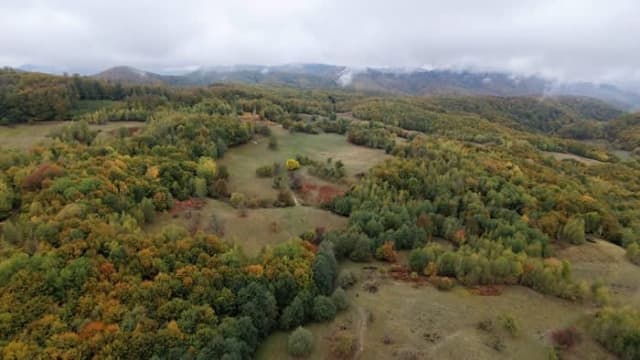 traseu turistic marcat în natură, Satu Mare
