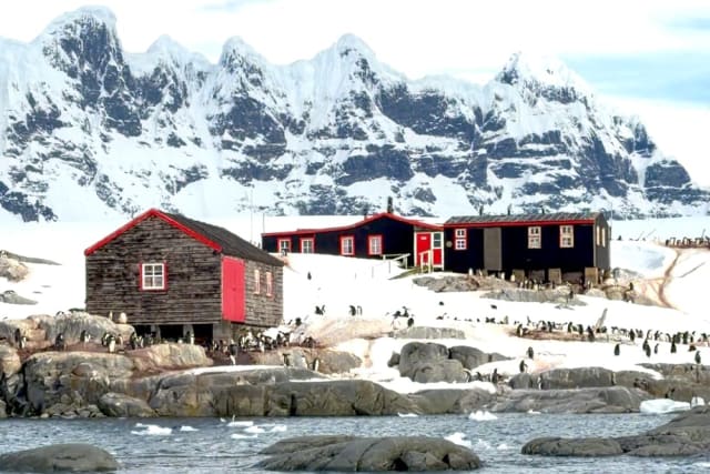 pinguini pe insula Goudier, Antarctica, muncă în condiții extreme