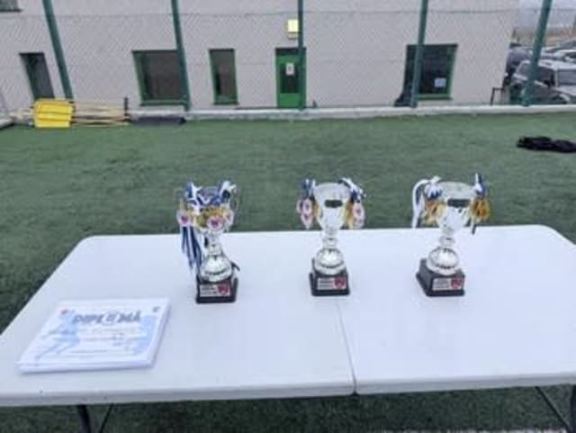 tineri fotbaliști la Cupa Hușana, oficiali județeni în vizită