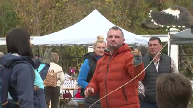 șoimi dresați și preparate vânătorești la festivalul din Hunedoara