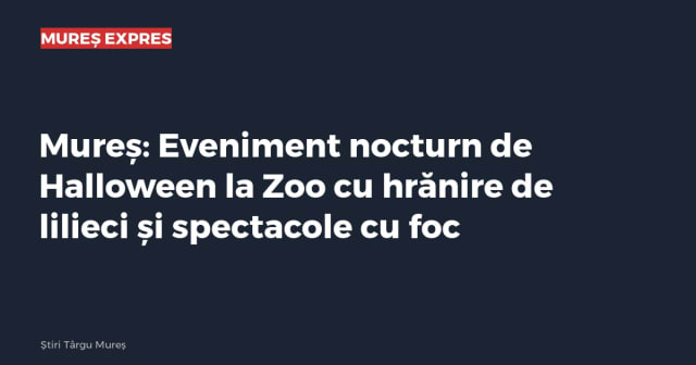 Imagine cu caracter ilustrativ