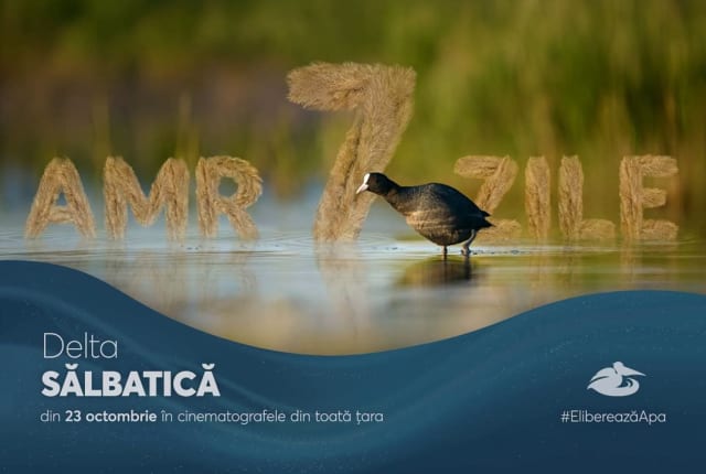 Cinema Unirea Botoșani programează filmul Delta Sălbatică din 23 octombrie