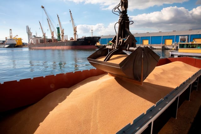 cereale în port, camioane și depozite agricole