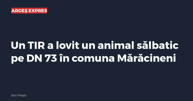 Imagine cu caracter ilustrativ