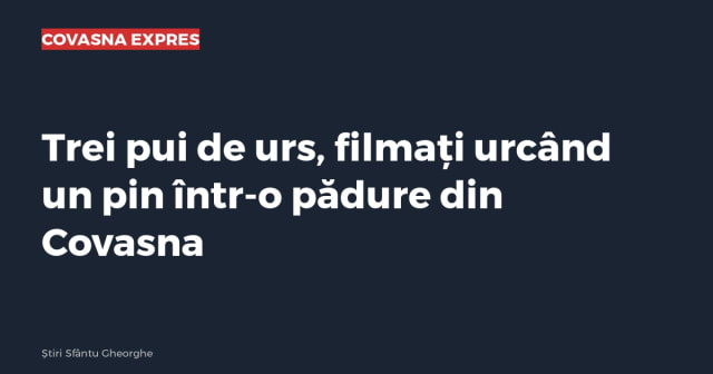 Imagine cu caracter ilustrativ
