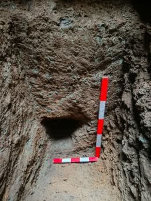 sondaj arheologic la Cetatea Neamț, descoperiri