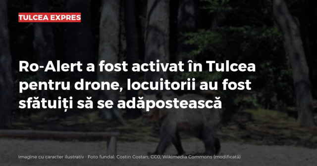 Imagine cu caracter ilustrativ