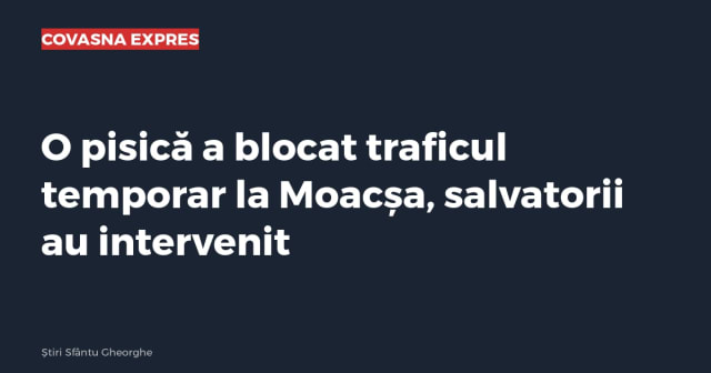 Imagine cu caracter ilustrativ