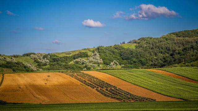 teren agricol extravilan în România, câmp și utilaje agricole