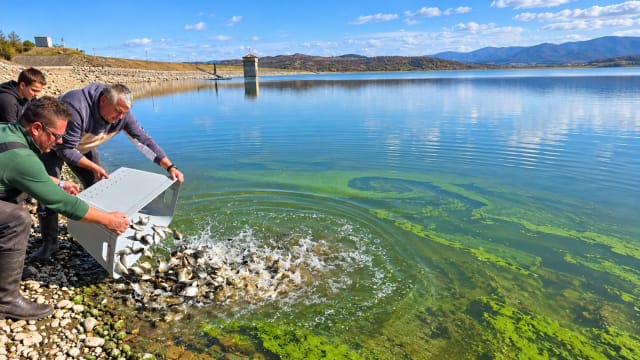 repopulare lacuri cu pește în Sălaj, pescari și lac