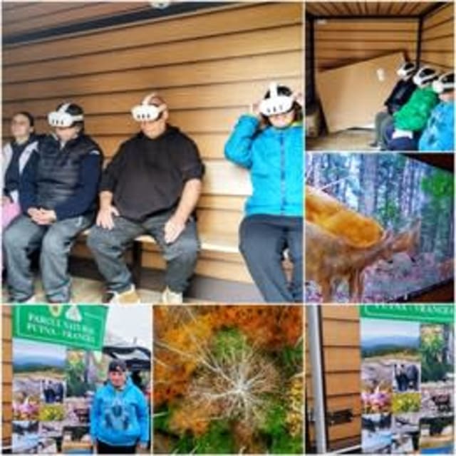 seniori participând la activitate virtuală în natură