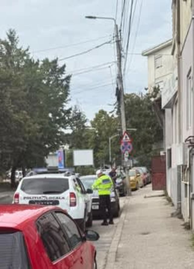 autovehicule parcate ilegal în cartierele Pitești