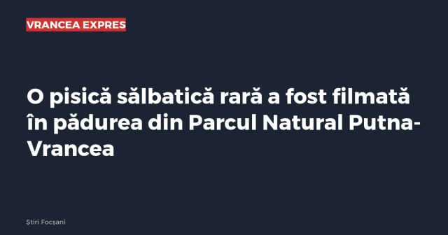 Imagine cu caracter ilustrativ