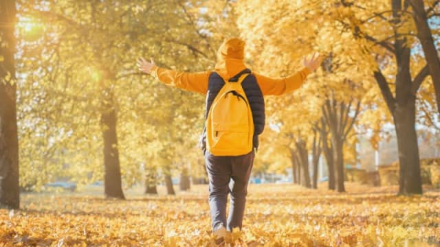 ANM a anunțat prognoza meteo pentru 26 octombrie – 23 noiembrie: temperaturi sub normele perioadei în noiembrie