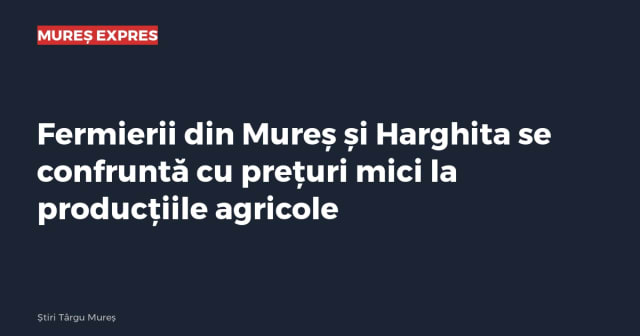 Imagine cu caracter ilustrativ