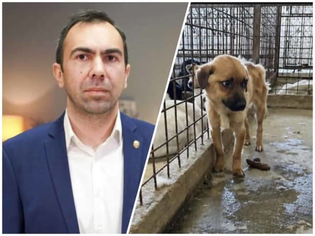 Prefectul Eugen Terente discutând despre adăpostul de câini
