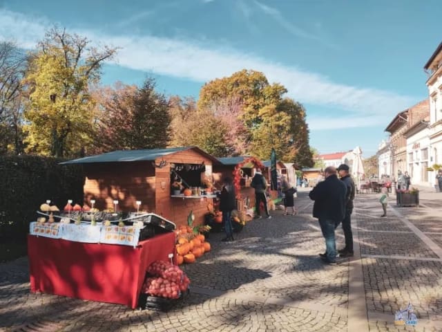 târg de toamnă la Carei, standuri cu produse locale