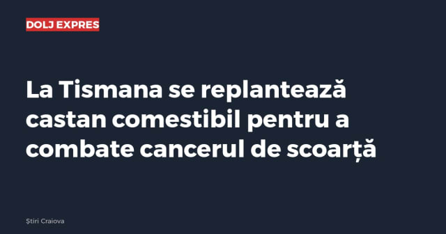 Imagine cu caracter ilustrativ