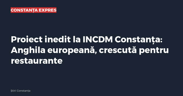 Imagine cu caracter ilustrativ
