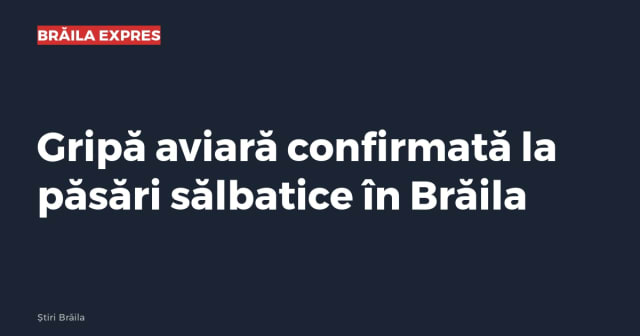 Imagine cu caracter ilustrativ