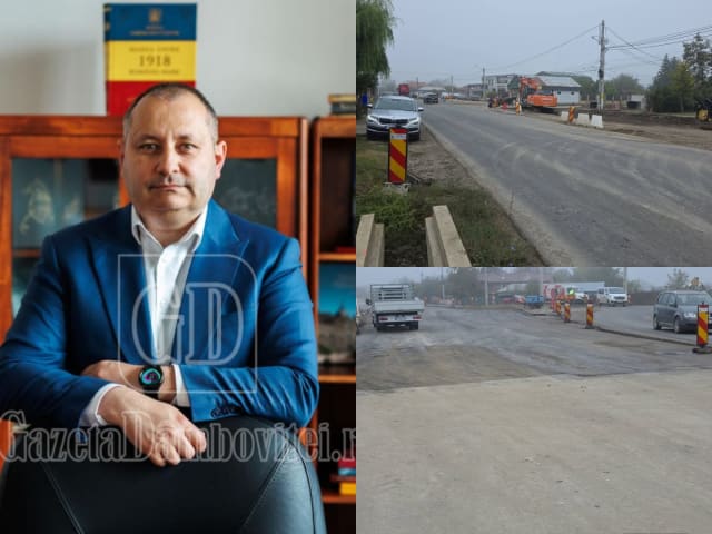 Daniel Blaga și Corneliu Ștefan discutând despre proiecte