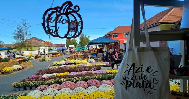 Festivalul Florilor de Toamnă la Curtici