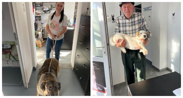 Câini și pisici sterilizați și microcipați în Cluj