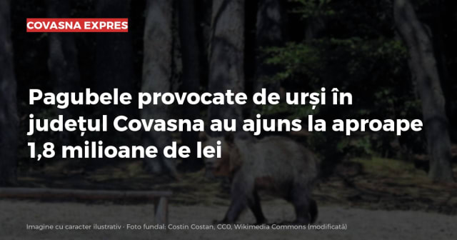 Imagine cu caracter ilustrativ