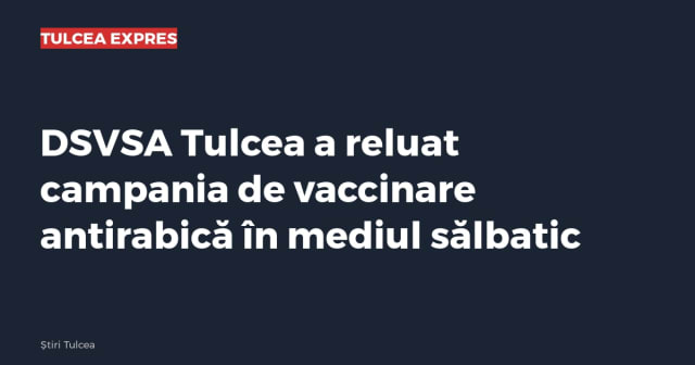 Imagine cu caracter ilustrativ