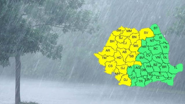 Ploi în București și Ilfov