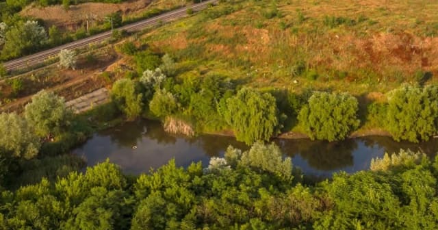 Valea Saulei, arie naturală protejată din București