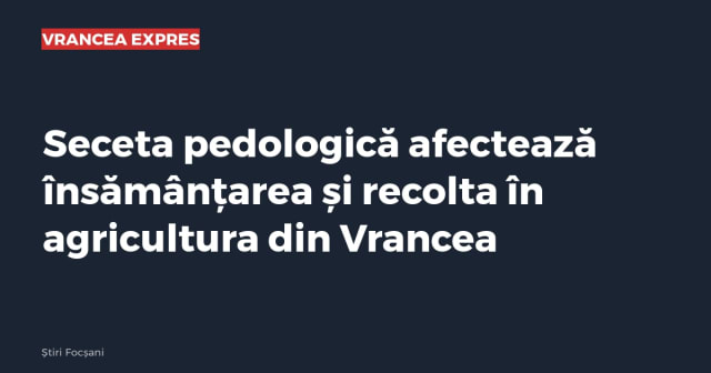Imagine cu caracter ilustrativ