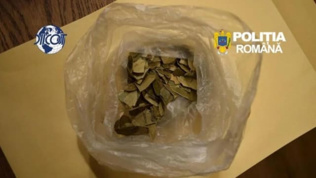 Droguri descoperite în tabără