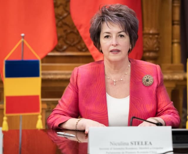 Niculina Stelea, senator AUR, critică Nuclearelectrica