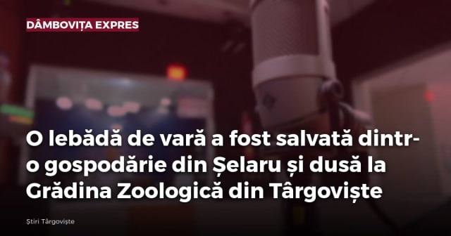 Imagine cu caracter ilustrativ