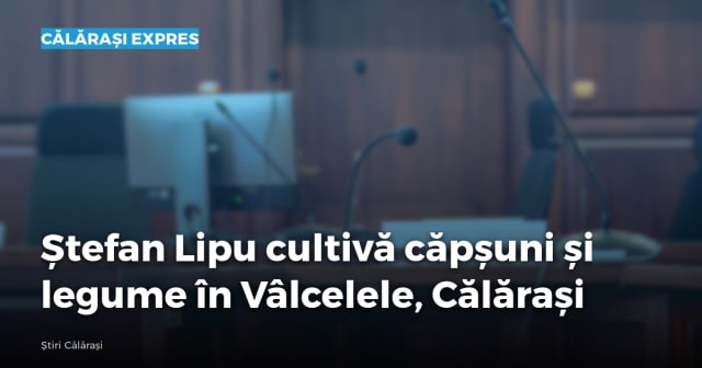 Imagine cu caracter ilustrativ