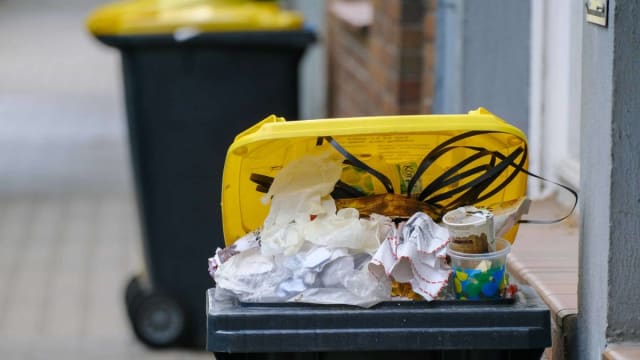 pubele galbene pentru deșeuri în Germania