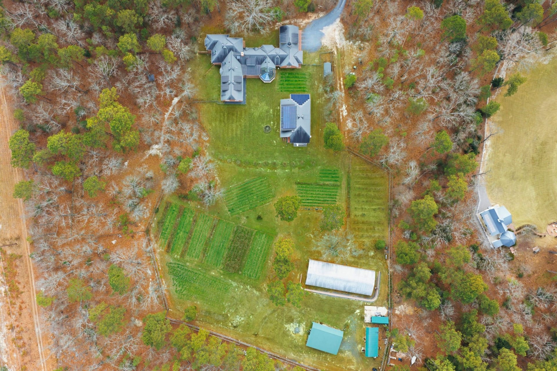 The grounds — lawn, forest edge, and open land