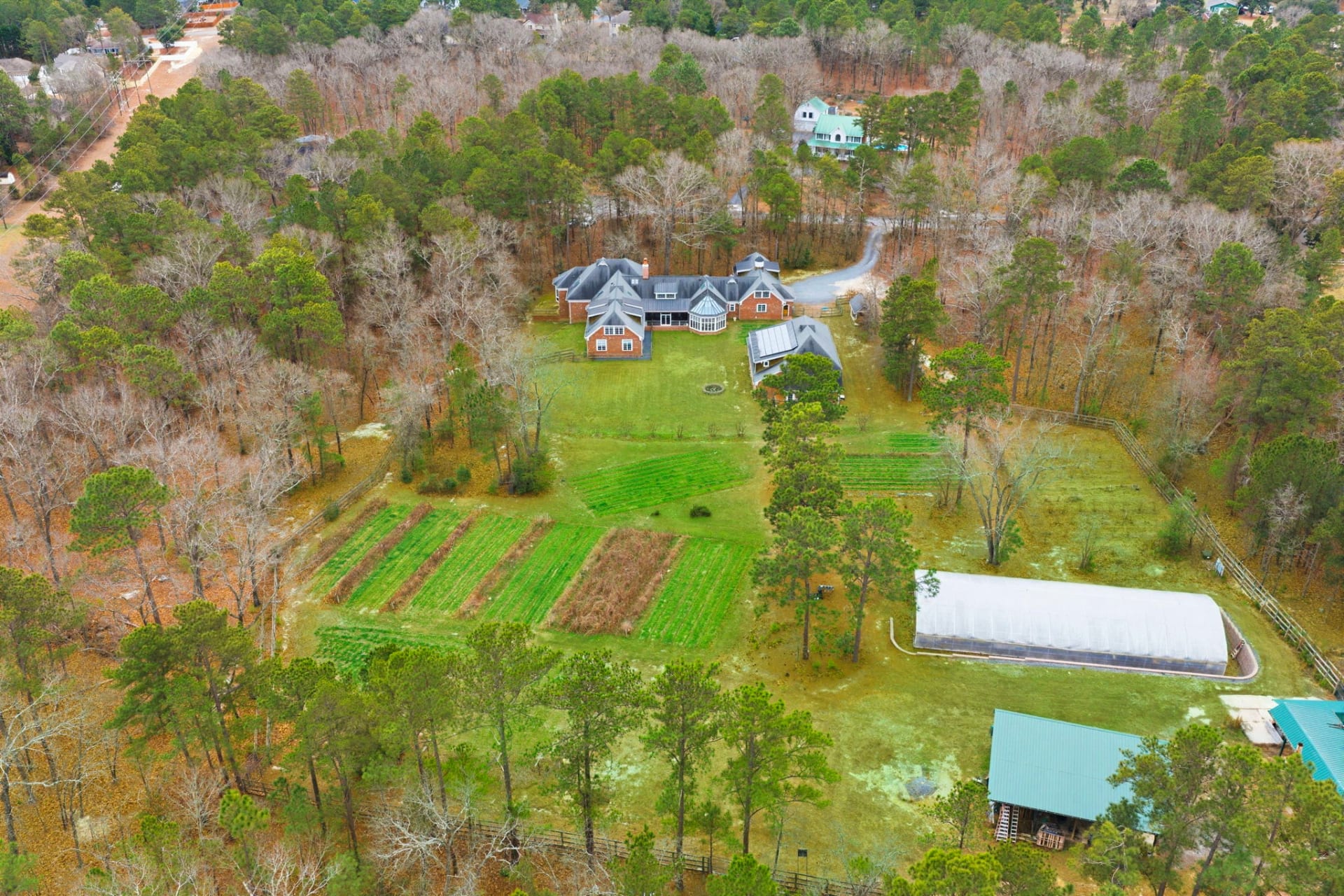 Summer green aerial