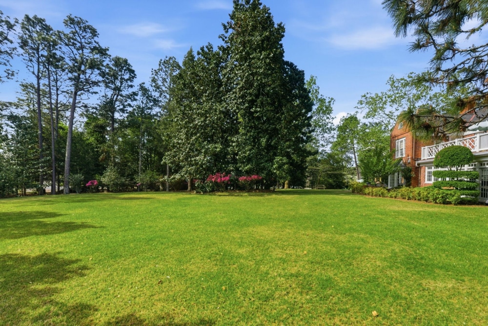 The grounds under the pines