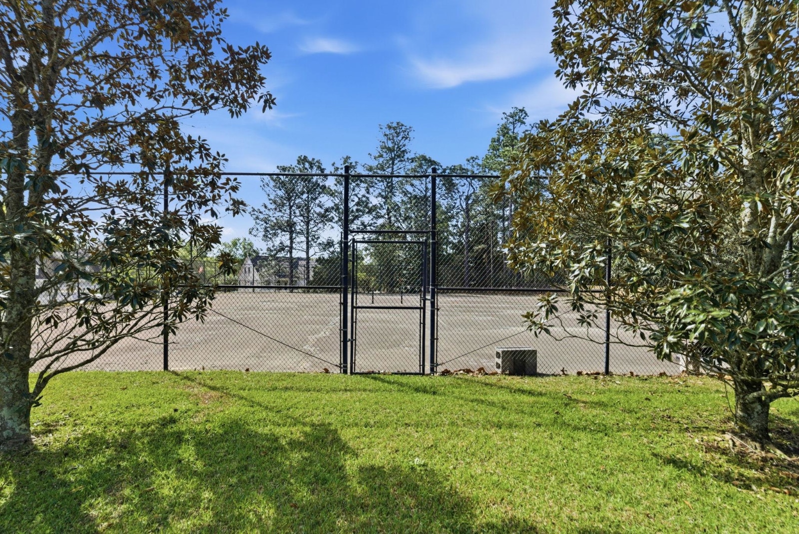 The pair of tennis courts beneath the pines, surfaces awaiting their next season