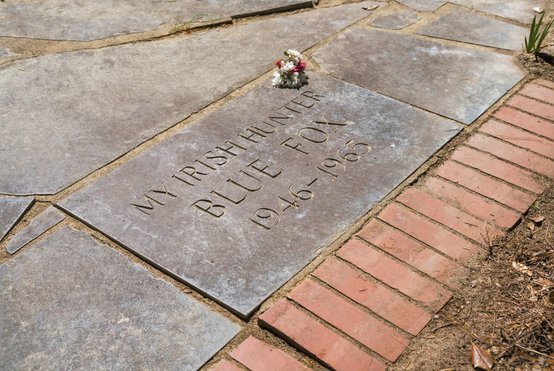 The slate-covered grave of Blue Fox, Betty Dumaine's Irish hunter, in the rear grounds of Garran Hill, Pinehurst NC