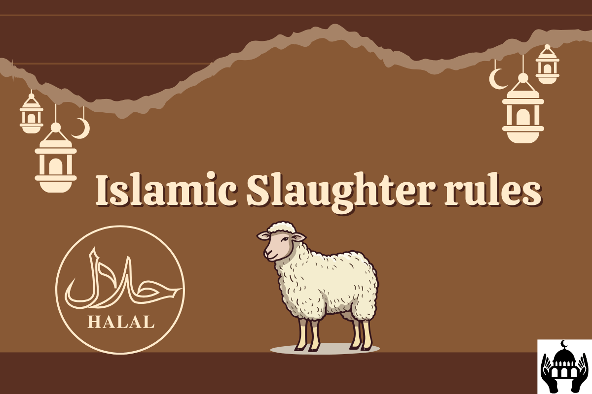 Why do Muslims slaughter the animal in a ruthless manner by torturing it and slowly and painfully killing it?