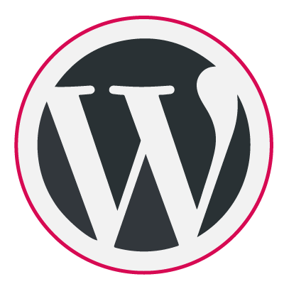 hire-wordpress-developer