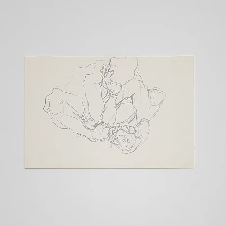 Art photo Nudedrawings/IMG_0238_oisl1h