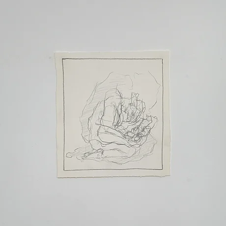 Art photo Nudedrawings/IMG_0299_suhkrm