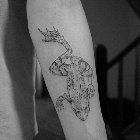 Tattoo photo Tattoo/MUR_8528_locrfs