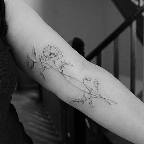 Tattoo photo Tattoo/MUR_9360_onhcez